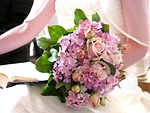 東京都で結婚相談所をお探しなら、サービス充実キャンペーン実施中のLumina結婚相談所で！
