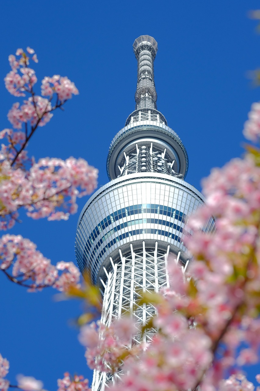 東京都での運命的な出会い！寂しいあなたに贈る恋愛のチャンス
